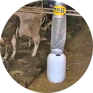 MOEL m-306 rovarcsapda rovargyűjtője MOEL m-306 rovarcsapda rovargyűjtője